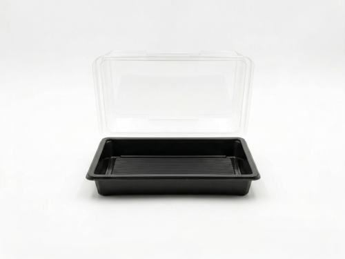Sushi Tray Deksel 220x90x20mm Zwart