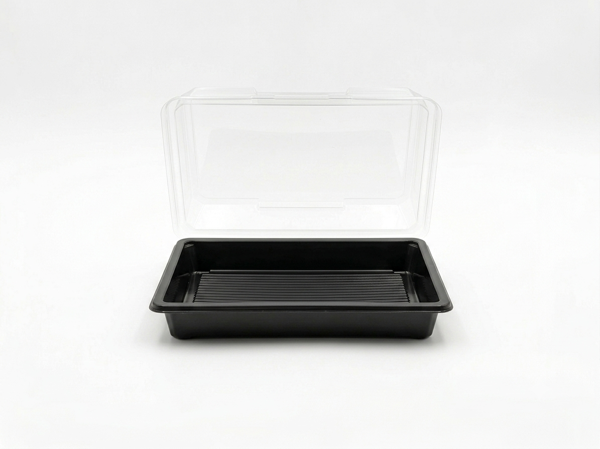 Sushi Tray Deksel 220x90x20mm Zwart